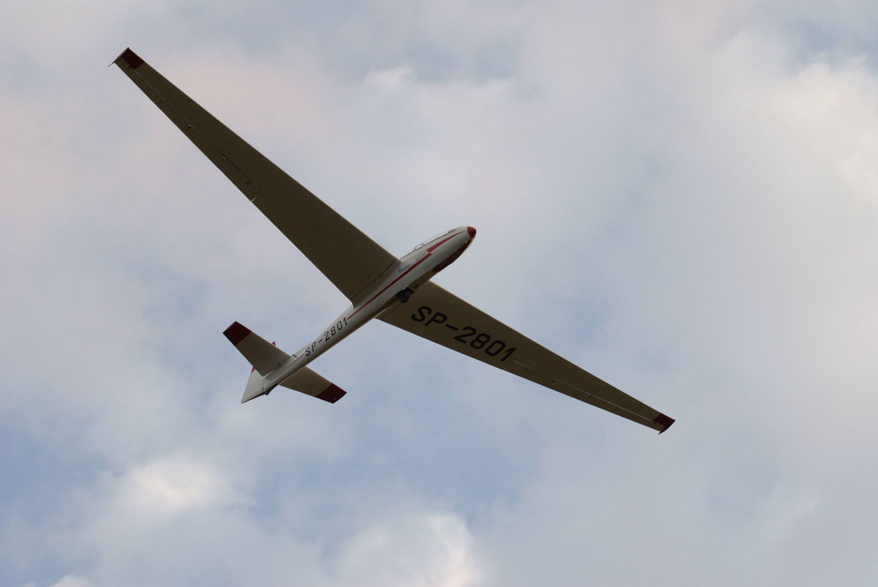 PZL SZD-9 Bocian en vol vu d'en-dessous