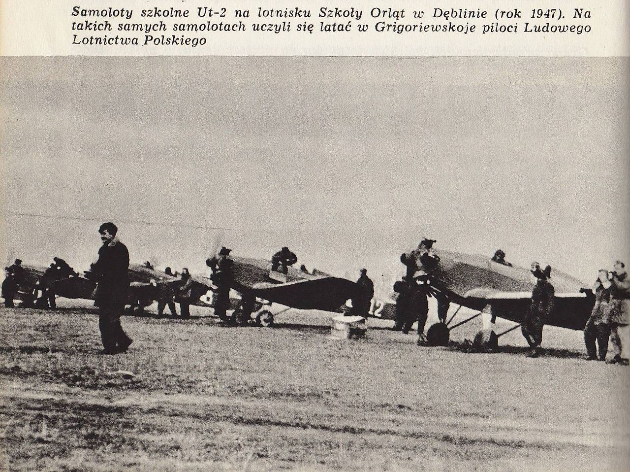 Yakovlev UT-2 Mink polonais alignés
