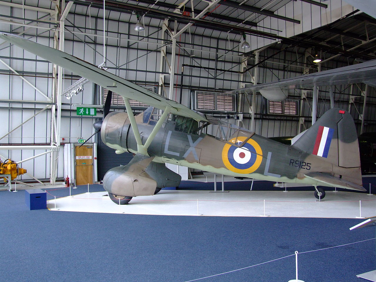 Westland Lysander III vu de côté