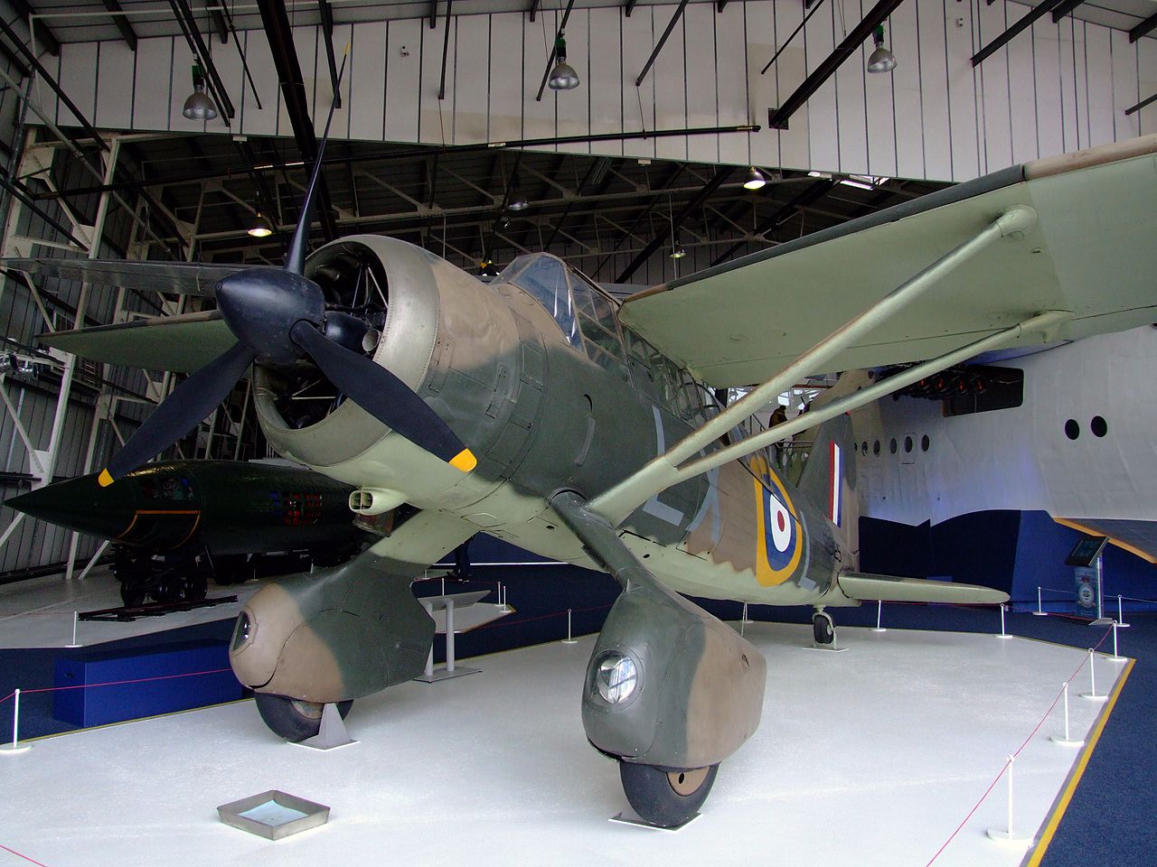 Westland Lysander III vu de l'avant