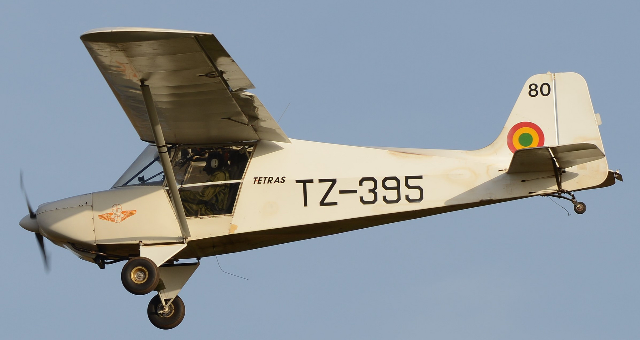 Humbert Tetras B malien en vol vu de profil