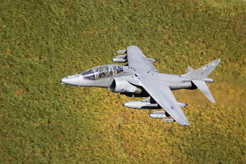 Hawker Harrier T.10 de la RAF