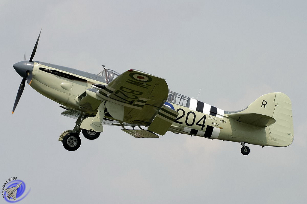 Fairey Firefly AS.5 aux couleurs de la Royal Navy