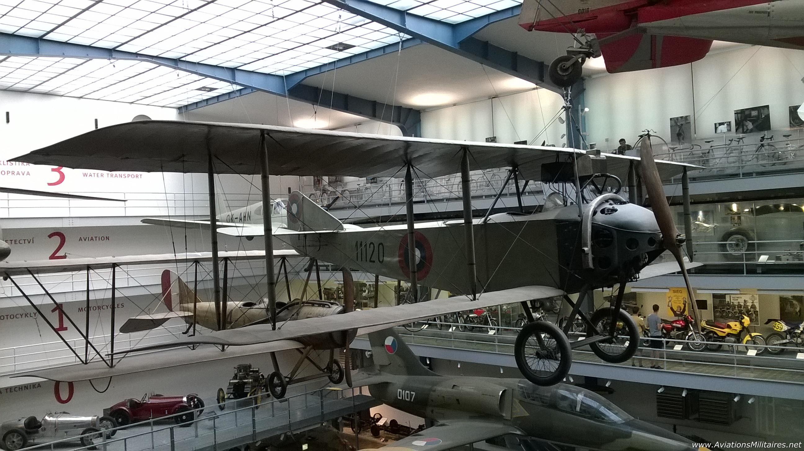 Anatra DS Anasal par glwpatton