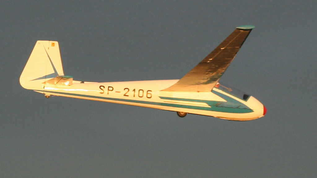 PZL SZD-22C Standard Mucha en vol vu de côté