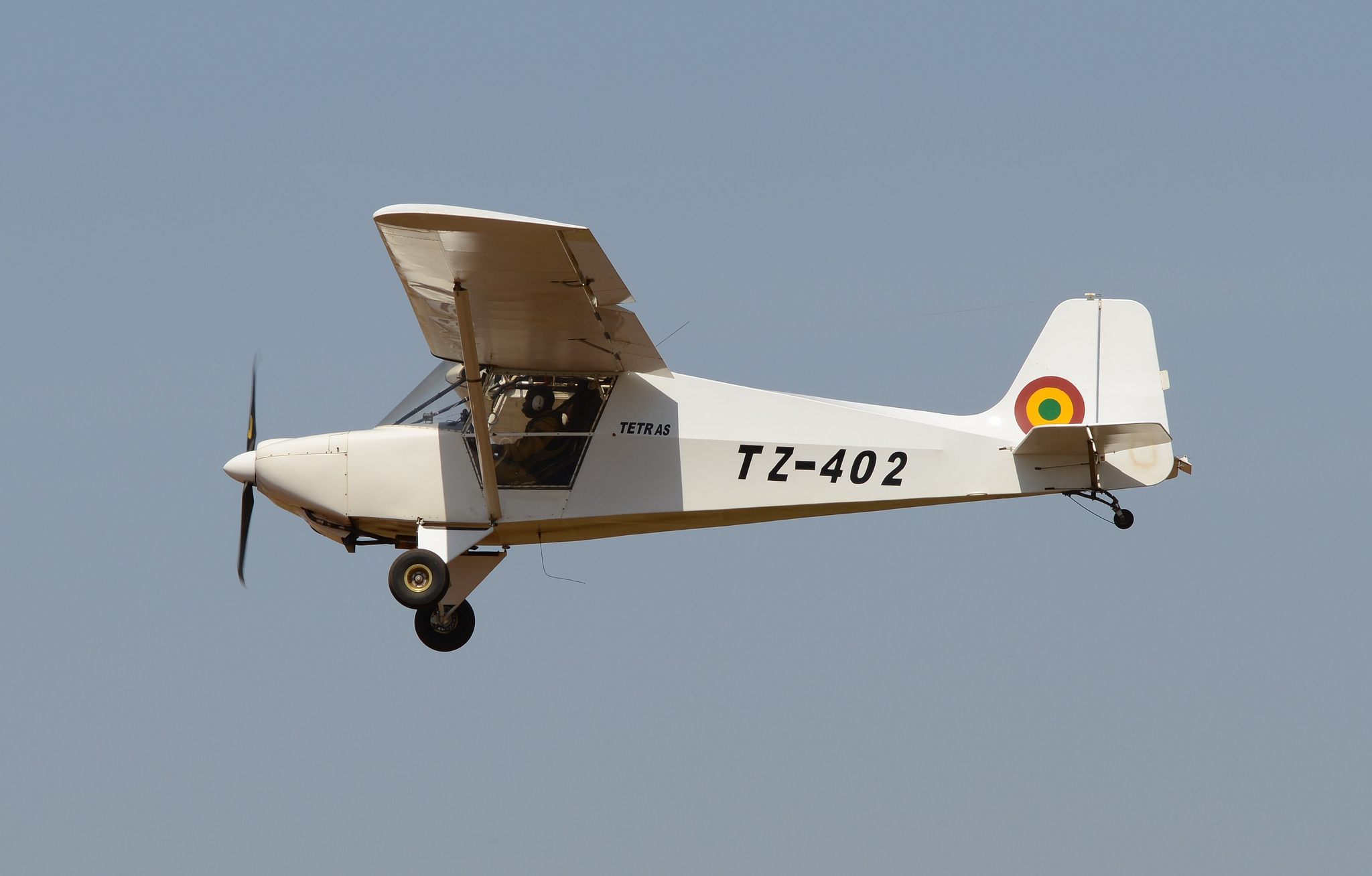 Humbert Tetras B malien en vol