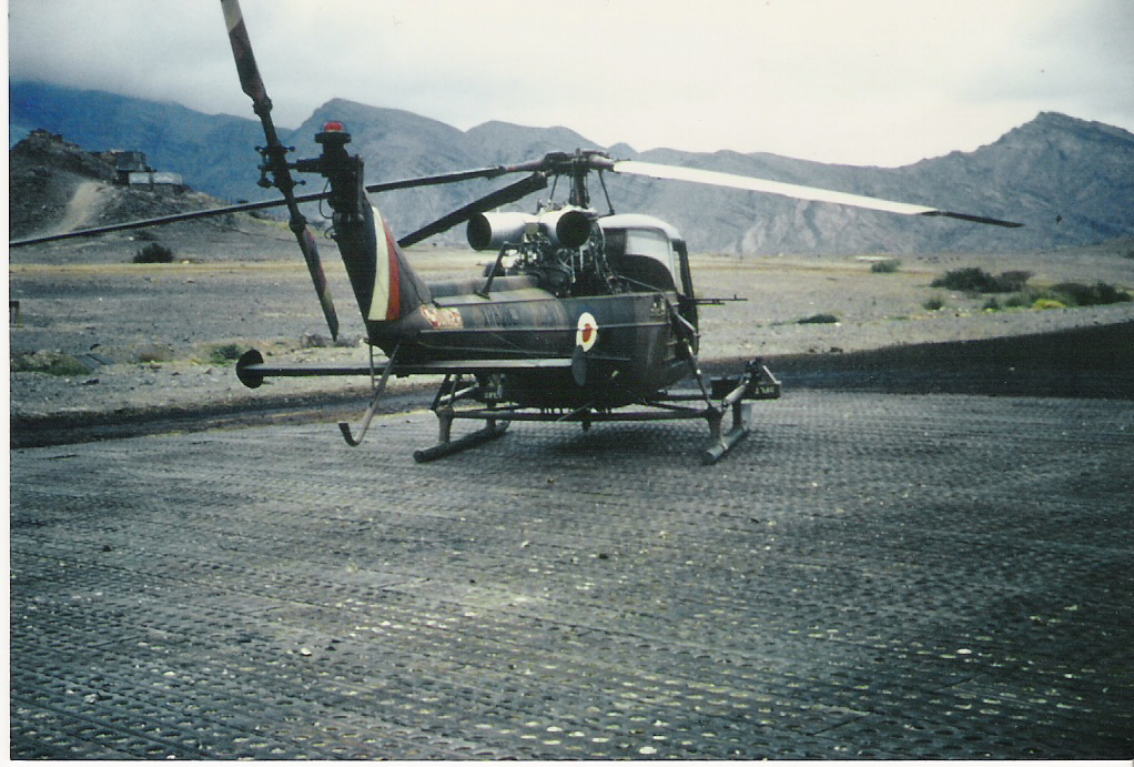 Westland Scout AH.1 vu de l'arrière
