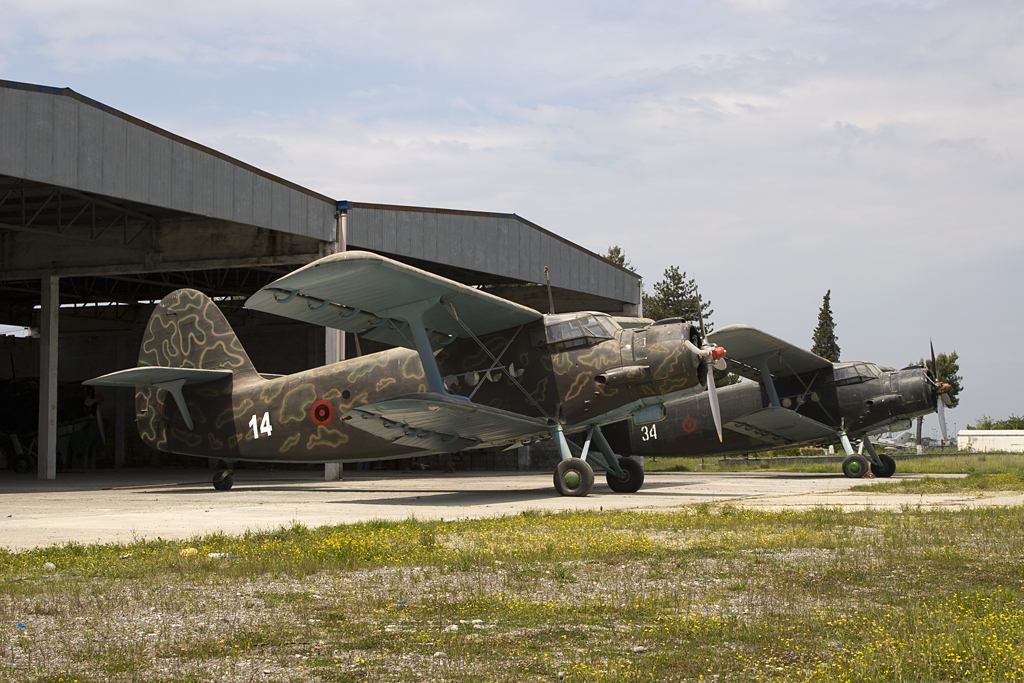 Nanchang Y-5 albanais alignés
