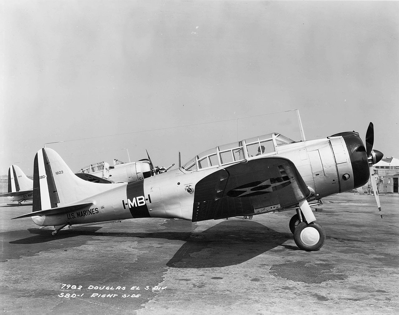Douglas SBD-1 Dauntless de l'USMC