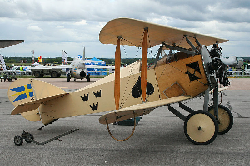 FVM Ö1 Tummelisa au sol, de profil