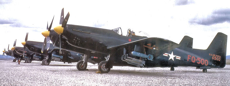 North American F-82H Twin Mustang de l'USAF alignés