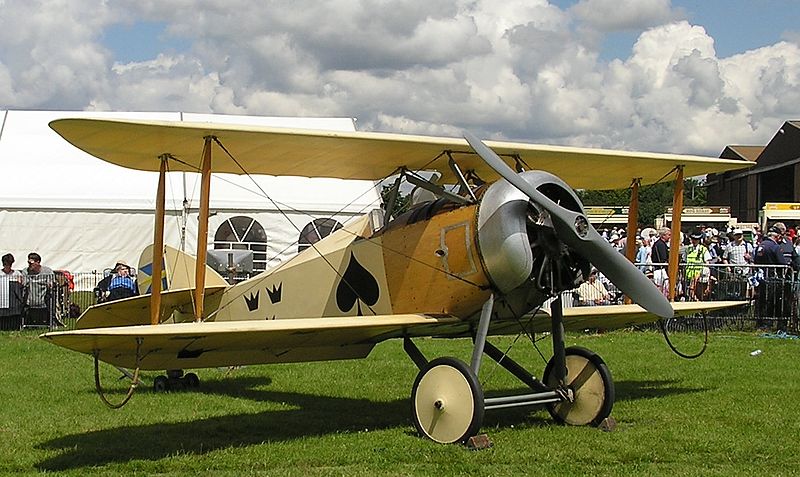 FVM Ö1 Tummelisa suédois au sol