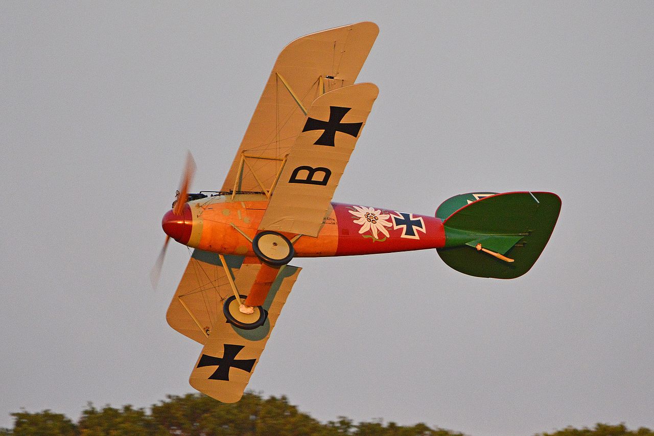 Albatros D.Va, réplique en vol
