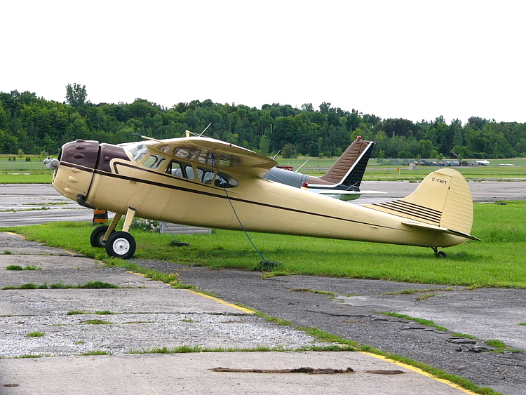 Cessna 190 au sol