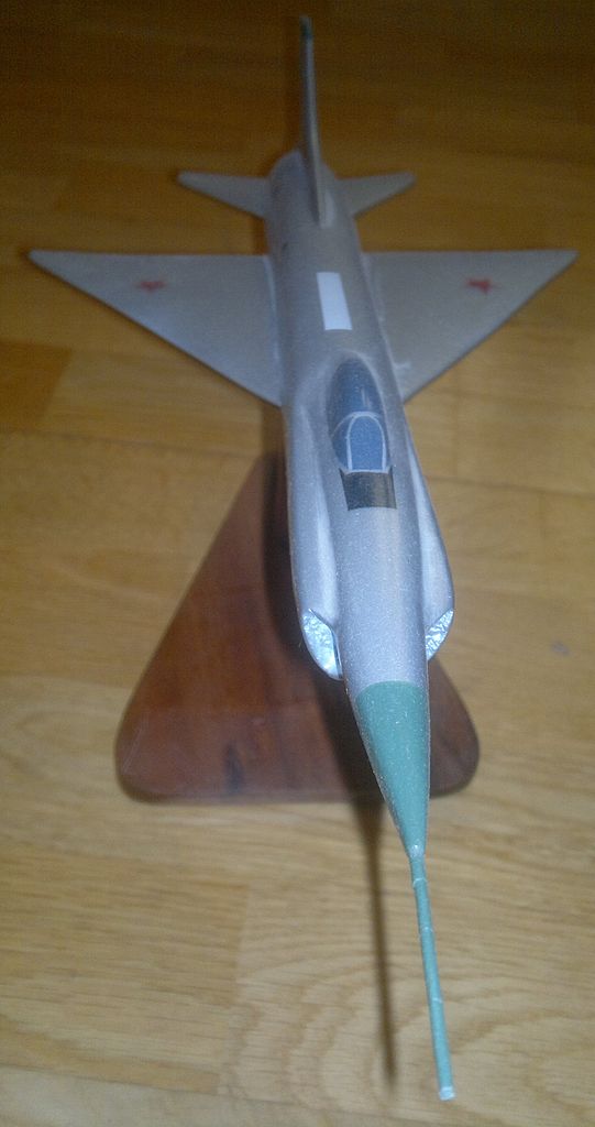 Sukhoï T-49 - Maquette vue de face