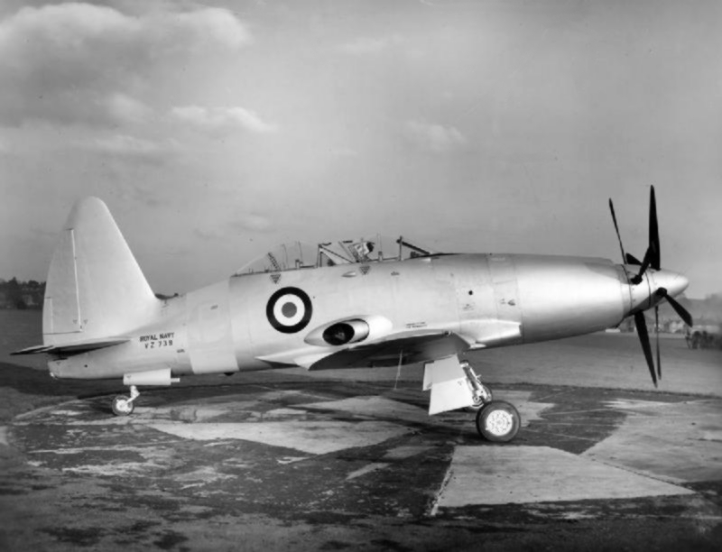 Westland Wyvern T3 de profil