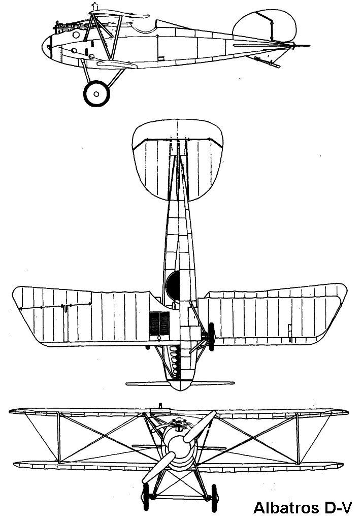 Albatros D.V
