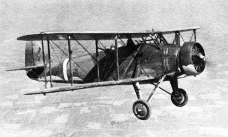 Aichi D1A "Susie" en vol