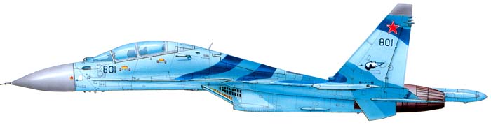 Sukhoï Su-35UB - Profil