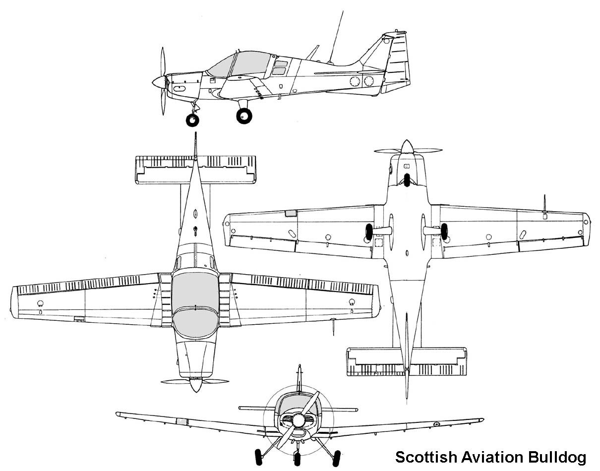 Scottish Bulldog 120
